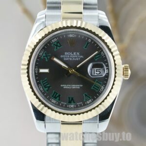 Rolex Datejust Men's 36mm 116233GYRO Stainless Steel Silver-tone