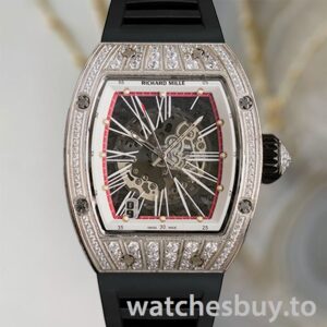 Richard Mille RM023 Men RM023 Around 50*40mm Automatic Transparent Dial